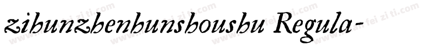 zihunzhenhunshoushu Regula字体转换
